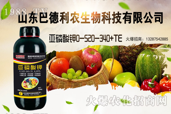 小麥價(jià)格能漲到多少錢一斤？部分地區(qū)價(jià)格行情！