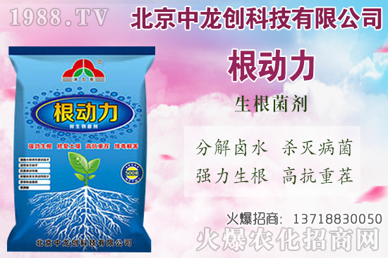 白蘿卜的需肥特性有哪些，白蘿卜施肥技術(shù)要點(diǎn)！