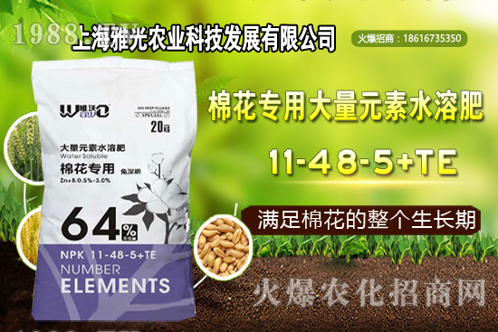 甜椒什么時候種植，甜椒栽培技術要點！