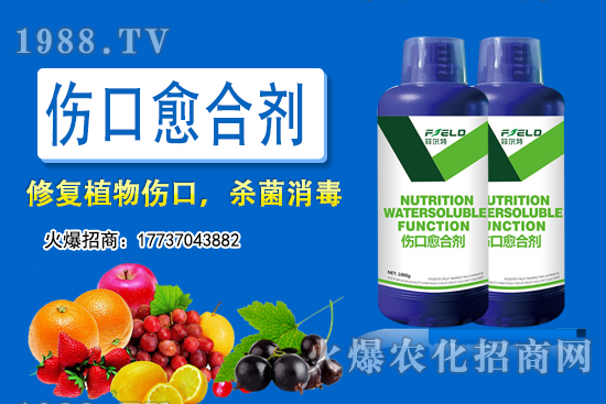 小麥底肥用二銨還是用復合肥？小麥施底肥究竟該怎么施？