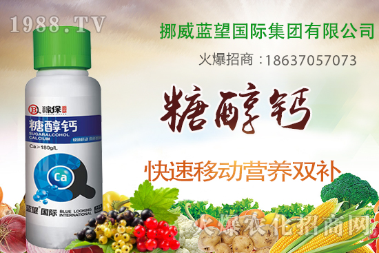 柑橘壯果肥如何施，柑橘壯果期施肥與管理！