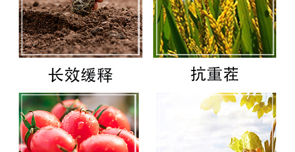 美孚農緩釋肥料28-12-12-中港美盛_05