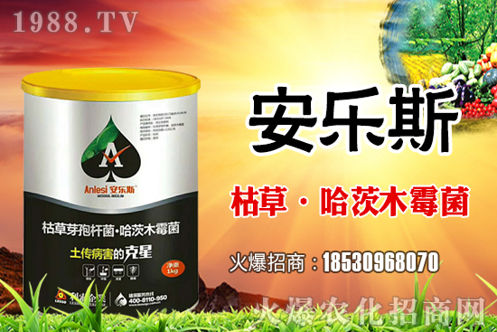 小麥種子是購買還是自留？小麥自留種子需要注意哪些內容？