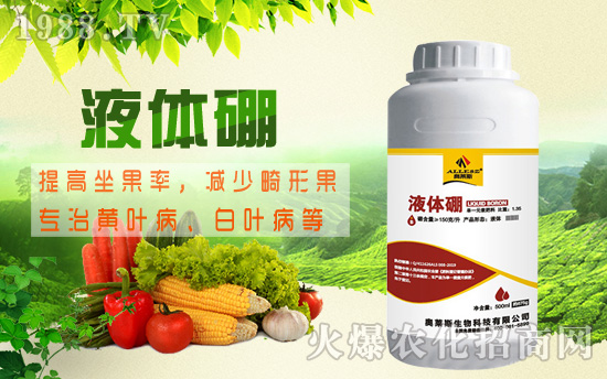 棉花缺硼危害究竟有多大，棉花缺硼癥狀及硼肥施用技術(shù)！