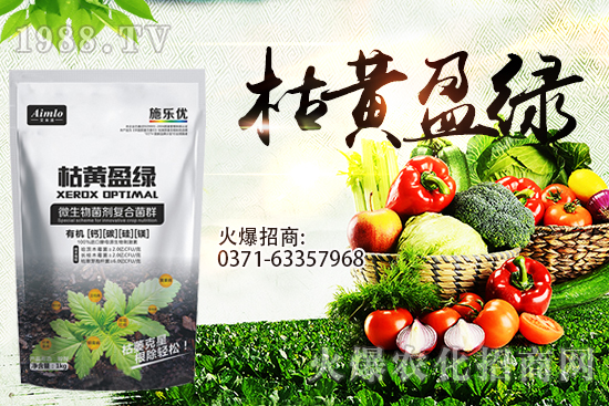 十月即將到來，麥價能漲多少？9月29日小麥價格走勢！