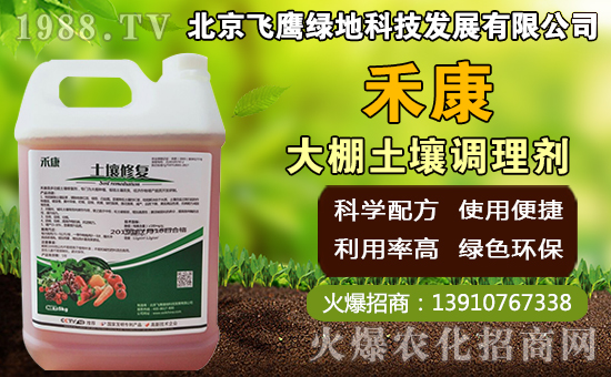 豬肚菇如何種植，豬肚菇栽培管理技術(shù)！