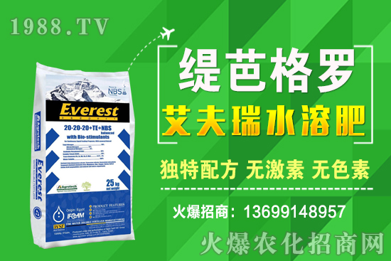 小麥價格漲了！十月小麥行情預(yù)測！