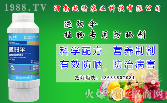 馬鈴薯可以和那些作物套種？馬鈴薯套種模式有什么好處？