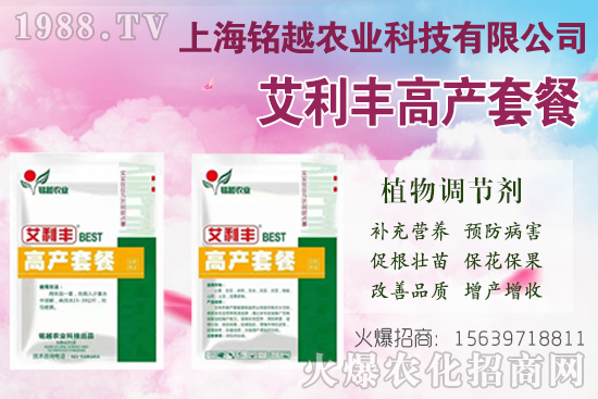 棉花吐絮是什么季節(jié)？常出現(xiàn)問題有哪些？棉花吐絮期管理要點(diǎn)！
