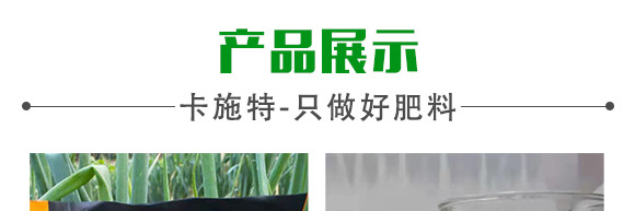 �VԴ�S�����-��ʩ��_09