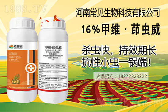 土豆幾月份種合適？（附如種植方法及田間管理）