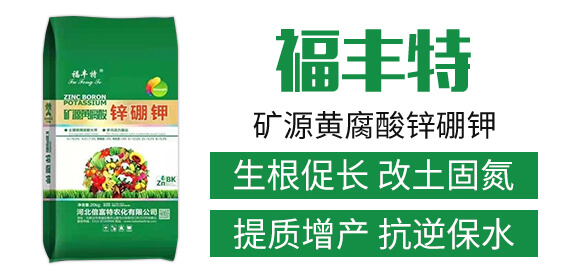 �VԴ�S�����\���-���S��-�������r��_02