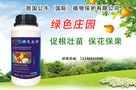 草莓著色不良到底是哪些原因？草莓著色不良又該如何避免？