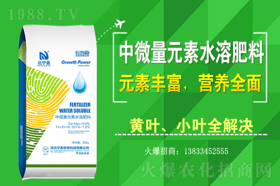 黃花菜該怎么種植？黃花菜種植過程需注意哪些問題？