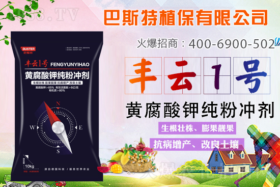 新品上市，定金翻倍！1000定金抵2000，超值優(yōu)惠，限時搶定...