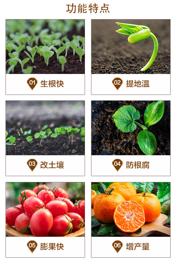 活菌海藻碳-萬(wàn)代富田_03