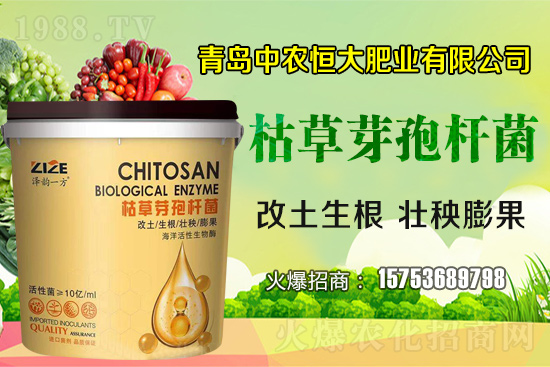 枯草芽孢桿菌真的是“菌中”嗎？枯草芽孢桿菌具體作用你了解嗎？