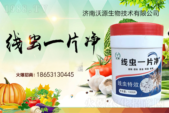根結(jié)線蟲難防治，專治線蟲“線蟲一片凈”