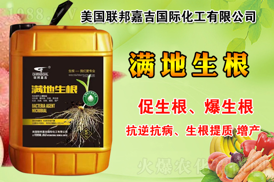 聯(lián)邦嘉吉怎么樣，聯(lián)邦嘉吉有哪些特色？公司暢銷產(chǎn)品有哪些？