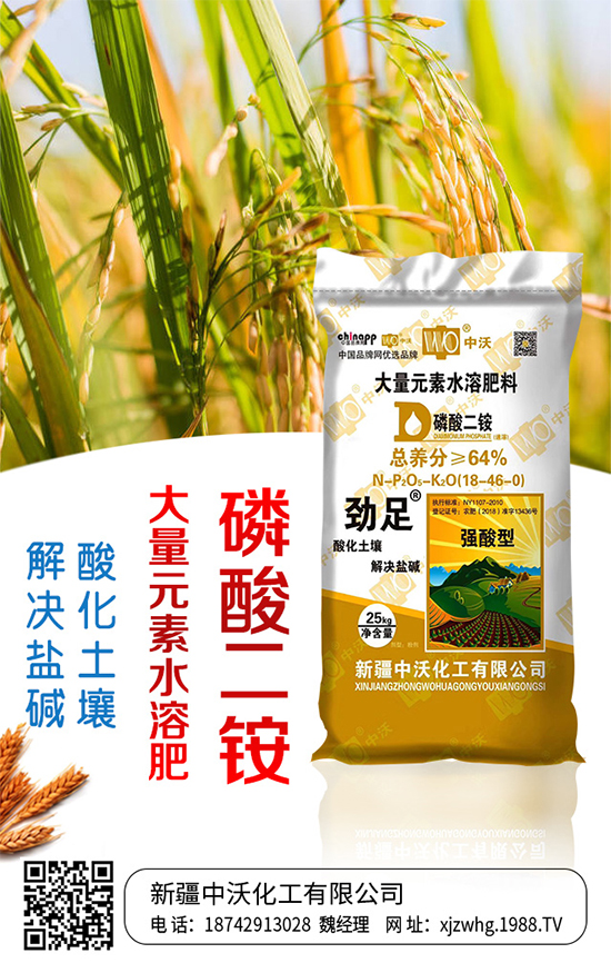 ���ֻ����m(x��)�s1988.TV���y���r(n��ng)���W(w��ng)�ل�(chu��ng)���x����