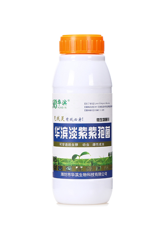 ���ϔM��ù1