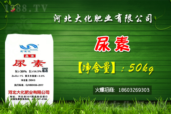 紅香蜜葡萄苗多少錢一棵？種植前景如何？