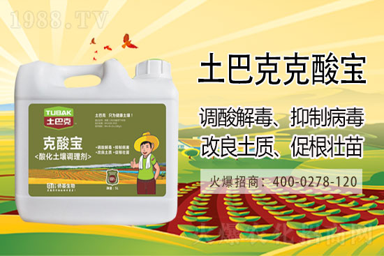 今日大豆價(jià)格市場行情報(bào)價(jià)2021年3月10日