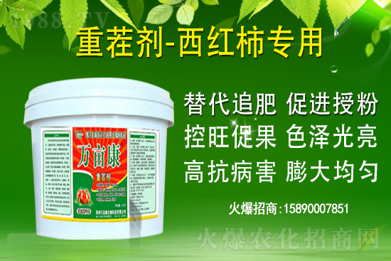 為什么果樹促梢建議用硝酸銨鈣，不建議用尿素？