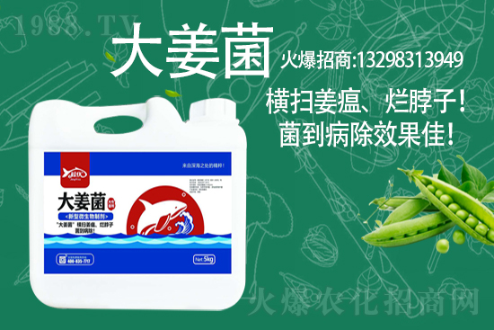 2021年3月10日全國小麥價(jià)格及分析