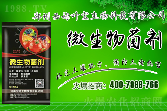 春季適合露地栽培的蔬菜品種有哪些？有哪些種植注意事項？