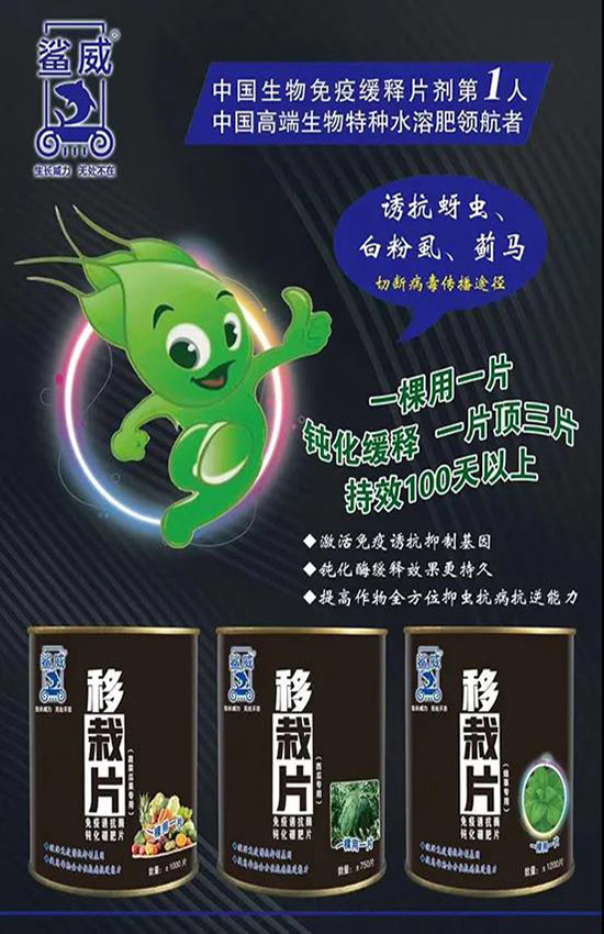 作物移栽時，怎么做能有效避免蟲害呢？