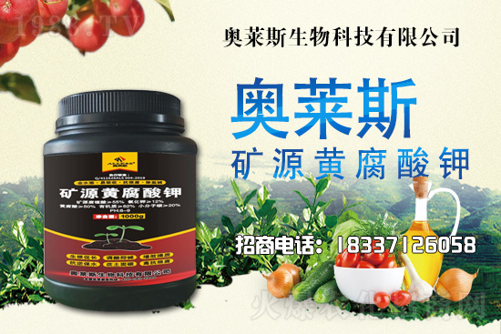 靈芝生產(chǎn)季節(jié)是什么時候？靈芝熟料段木仿生栽培技術(shù)！