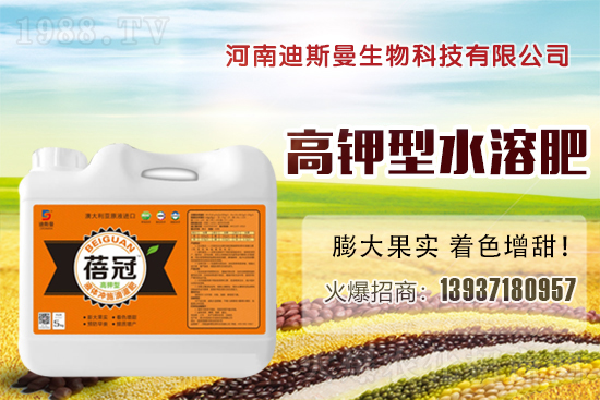 ���ϵ�˹���ٺ�1988.TV���y�ֹ��M(j��n)���T�����x�ͣ�