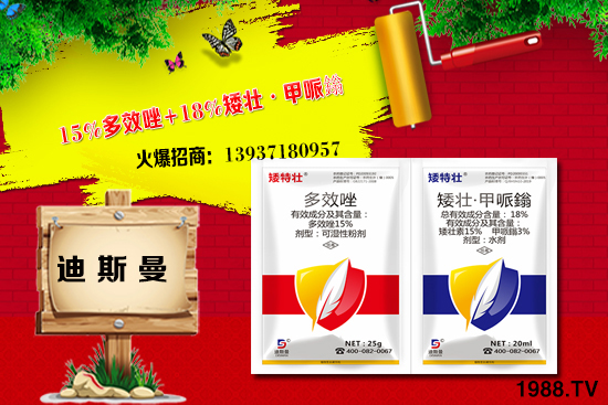 ���ϵ�˹���ٺ�1988.TV���y�ֹ��M(j��n)���T�����x�ͣ�