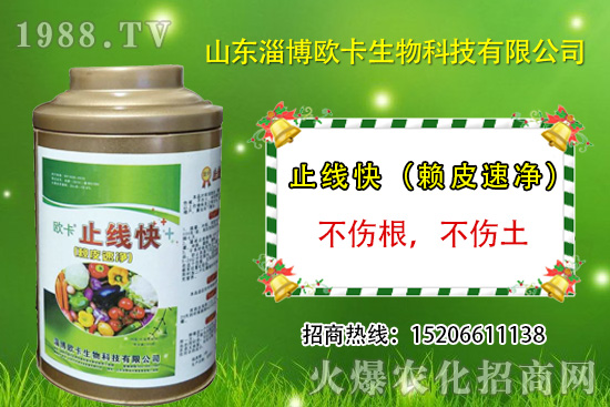 歐卡生物再簽1988.TV，力求實現(xiàn)企業(yè)騰飛夢！