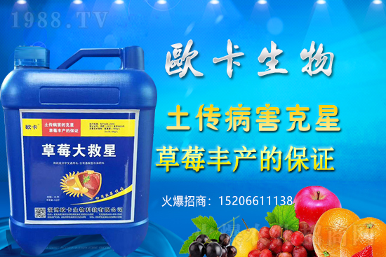 歐卡生物再簽1988.TV，力求實現(xiàn)企業(yè)騰飛夢！