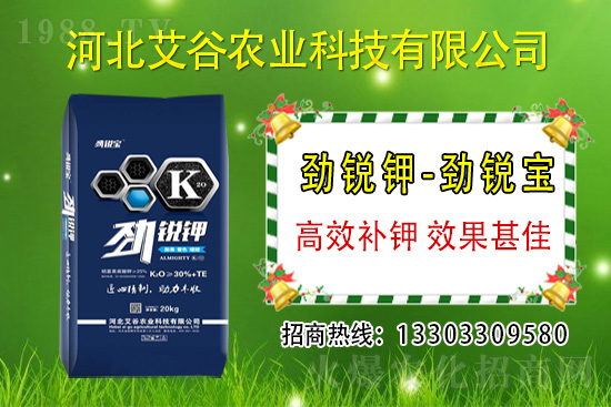 2021年6月1日國內(nèi)鉀肥價格走勢分析