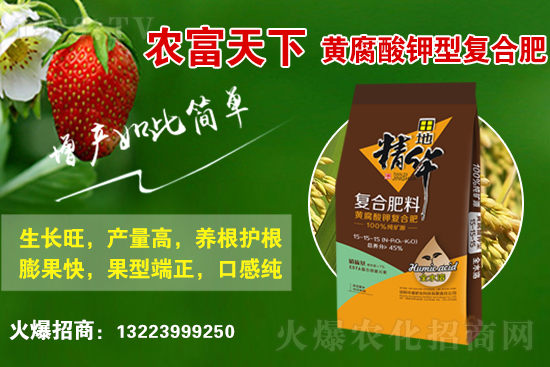 復(fù)合肥市場行情分析，2021年6月10日化肥行情走勢：