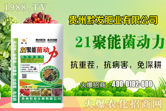 黔發(fā)肥業(yè)再度攜手1988.TV，攜手打造招商奇跡！