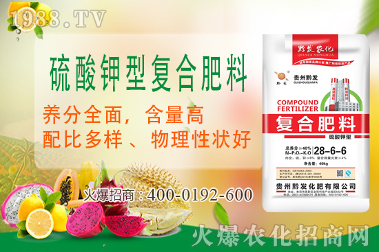 黔發(fā)肥業(yè)再度攜手1988.TV，攜手打造招商奇跡！