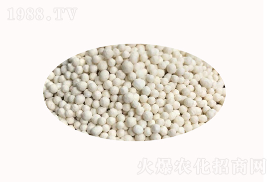 2021��6��26�Շ���(n��i)���@�r(ji��)�������߄�