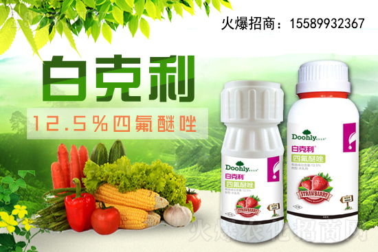 德國東利續(xù)約1988.TV！戰(zhàn)略合作關(guān)系再上新臺階！