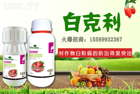 德國東利續(xù)約1988.TV！戰(zhàn)略合作關(guān)系再上新臺階！