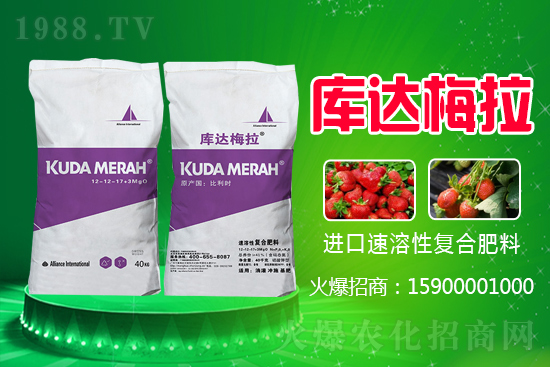 2021��6��9�Շ�(gu��)��(n��i)���ʃr(ji��)��������?q��ng)?b��o)