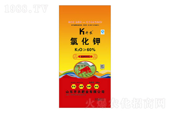 ⛷ʃr���q��2021��7��19��⛷ʃr�������Ո�