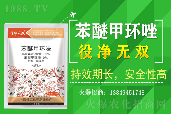 【農(nóng)技】注意！今年雨水多，玉米頂腐病防治要點(diǎn)