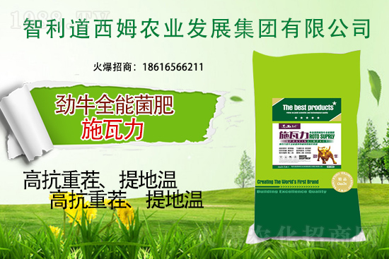 智利道西姆再簽1988.TV，開啟網(wǎng)絡(luò)招商新模式！