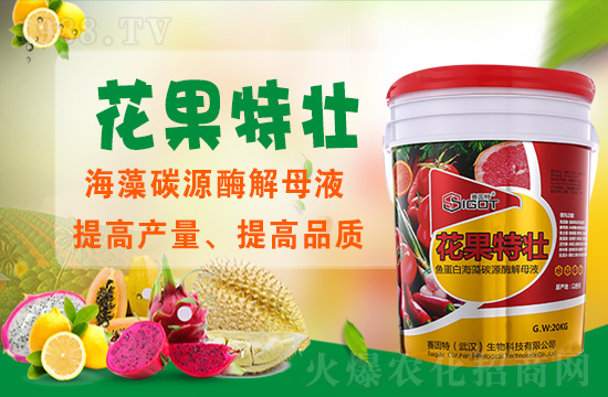 ��ɫ��ِ�����ٶȔy��1988.TV���y�ֹ���(chu��ng)��(zh��n)�����ل�(chu��ng)�x�ͣ�