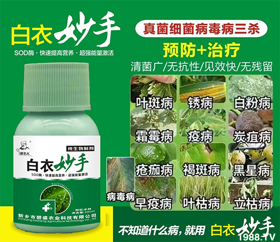 ���l(xi��ng)�б�ʢ�r�I(y��)�Ƽ����޹�˾1