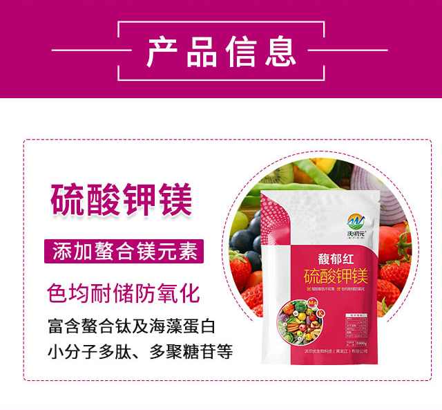 ����t-�֠���(y��u)_02